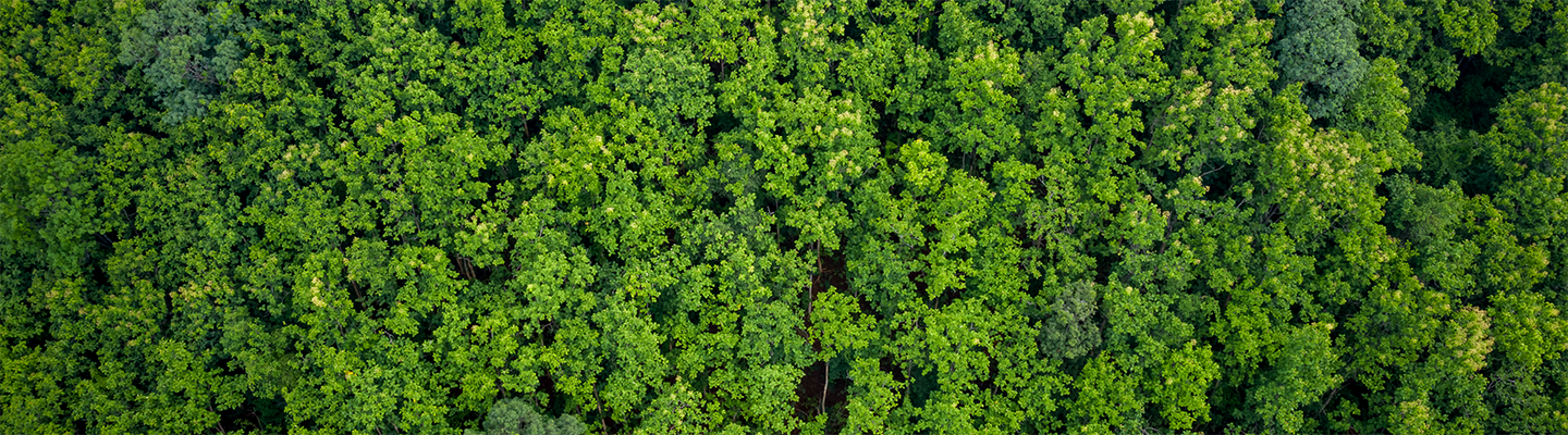 capa sustentabilidade